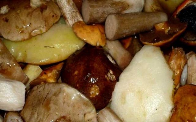 kak marinovat maslyata – samye vkusnye recepty zagotovki gribov na zimu19 Як маринувати маслюки – найсмачніші рецепти заготівлі грибів на зиму