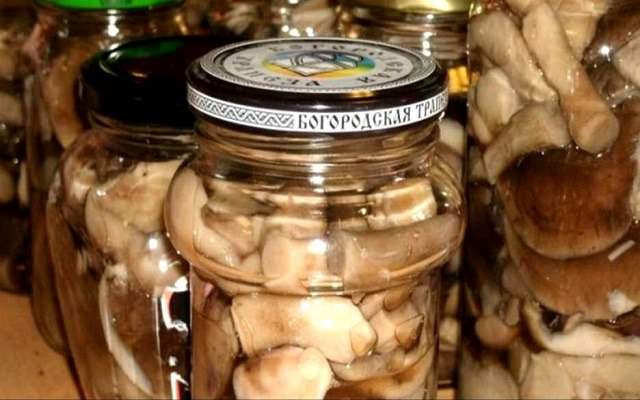  kak marinovat maslyata – samye vkusnye recepty zagotovki gribov na zimu20 Як маринувати маслюки – найсмачніші рецепти заготівлі грибів на зиму