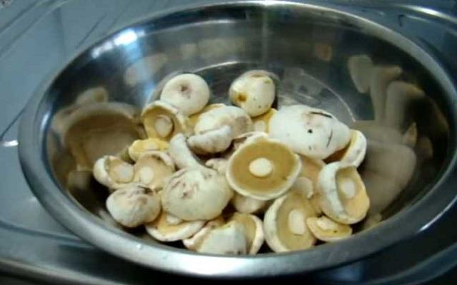  kak marinovat maslyata – samye vkusnye recepty zagotovki gribov na zimu4 Як маринувати маслюки – найсмачніші рецепти заготівлі грибів на зиму
