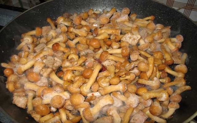 kak pravilno i vkusno pozharit kartoshku s gribami na skovorode57 Як правильно і смачно посмажити картоплю з грибами на сковорідці