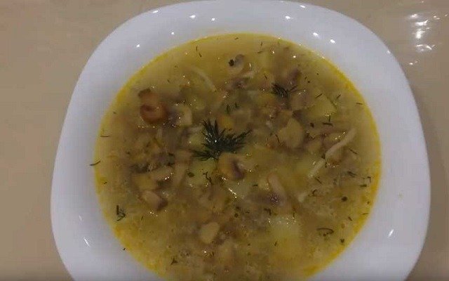  recepty gribnogo supa s razlichnymi gribami i ingredientami11 Рецепти грибного супу з різними грибами та інгредієнтами