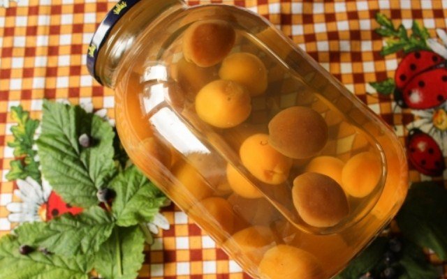  recepty zagotovki kompota iz abrikosov na zimu32 Рецепти заготівлі компоту з абрикосів на зиму