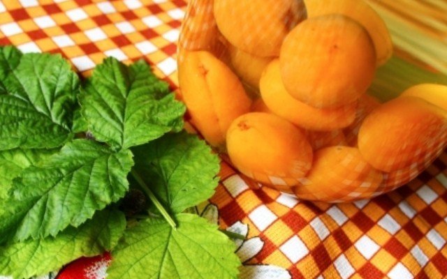  recepty zagotovki kompota iz abrikosov na zimu36 Рецепти заготівлі компоту з абрикосів на зиму