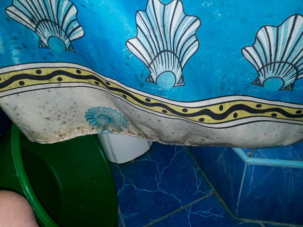 otstiryvaem shtorku dlya vanny ot pyaten rzhavchiny, zheltizny, pleseni, gribka, i izvestkovogo naleta23 Відпираємо шторку для ванни від плям іржі, жовтизни, цвілі, грибка, і вапняного нальоту