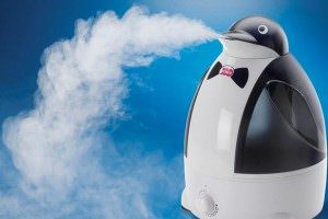 3ccfe4649bef98ad9cee055252b9ca25 Як чистити зволожувач повітря: кращі способи