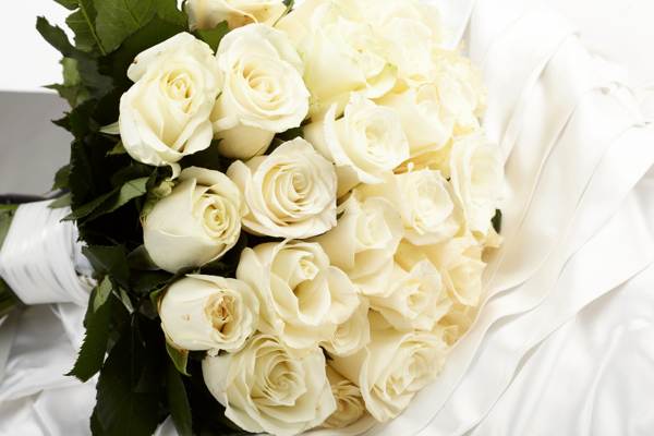 4f260b06e020259c06e4f5a6403d7633 До чого дарують білі троянди дівчині (жінці) – що означають, символізують квіти