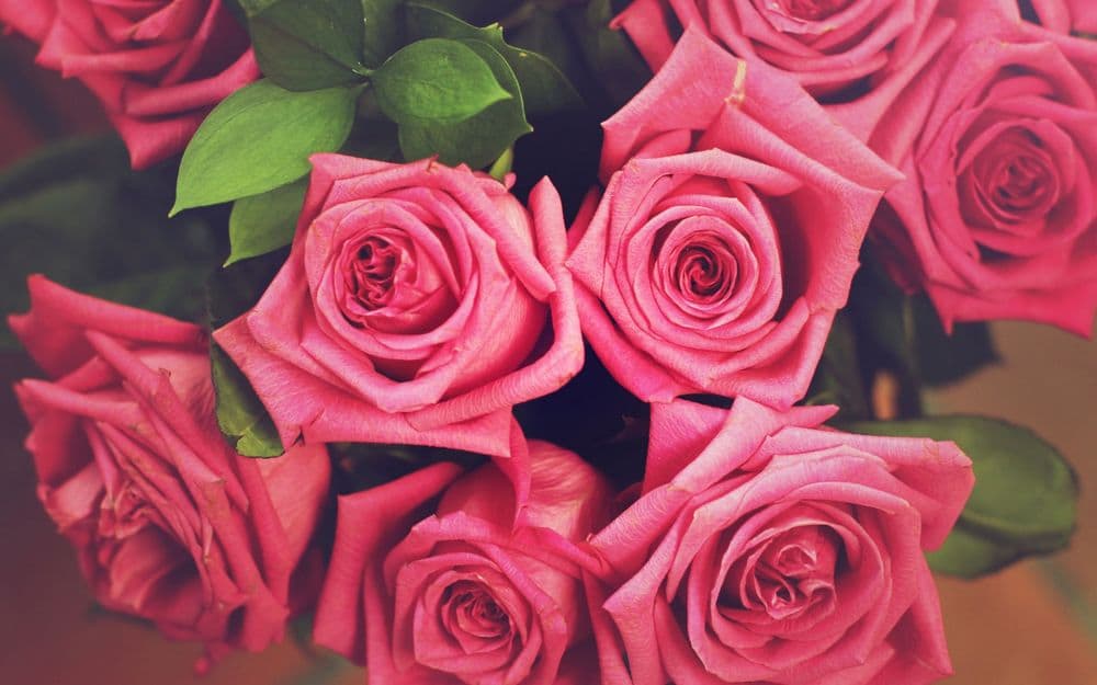 8877dd891d60a3bfe60a52f473429e65 До чого дарують рожеві троянди, що вони означають   значення, символ подарунка для дівчини