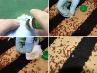 kak ochistit kover ot plastilina239 Як очистити килим від пластиліну