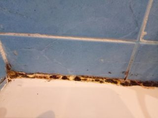 kak udalit plesen v vannojj komnate s germetika4 Як видалити цвіль у ванній кімнаті з герметика