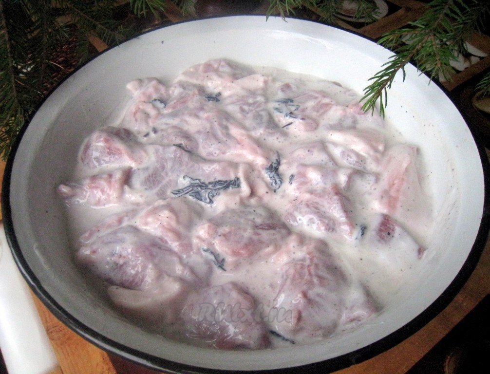 7fafb63a96dda355ad3a146295608047 Як приготувати шашлик з свинини і 6 найсмачніших маринадів, щоб мясо було мяким і соковитим
