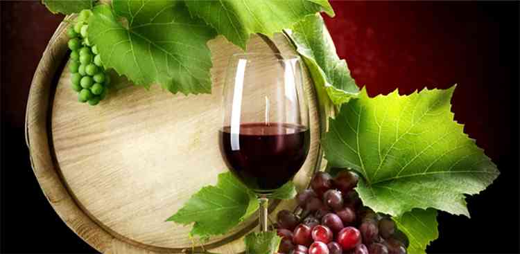 117f05df673fd7045d8875cf63ce9044 Як зробити домашнє вино з винограду: 13 кращих рецептів
