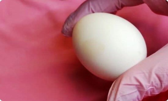 9aa4428a5dfc26479d26d96d0d2e976f Як пофарбувати яйця на Великдень — оригінальні ідеї і хитрощі при фарбуванні яєць