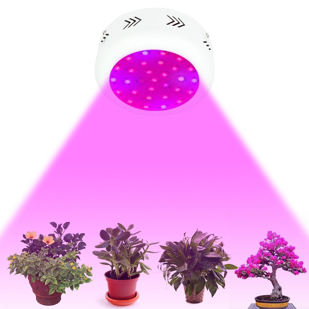 9e4f832b4bf9a14f6868983e057f09f2 Лампа для кімнатних квітів: підсвічування в квартирі, додаткове освітлення своїми руками, світлодіодні і люмінесцентні лампи