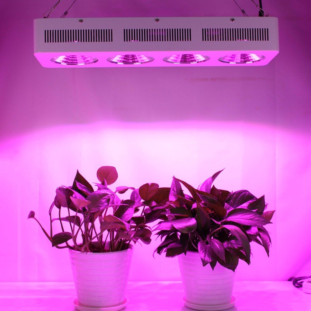 9fcaebd79397d537dc4e2b984b79ffa2 Лампа для кімнатних квітів: підсвічування в квартирі, додаткове освітлення своїми руками, світлодіодні і люмінесцентні лампи