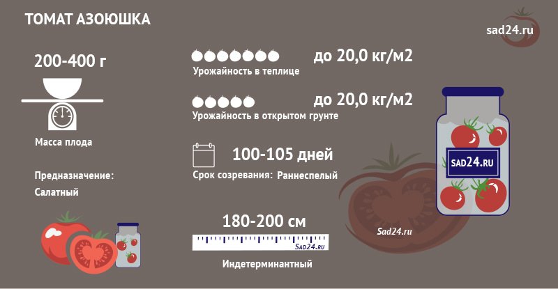 azoyushka – produktivnyjj i vynoslivyjj tomat  agrotekhnika i opisanie sorta3 Азоюшка – продуктивний і витривалий томат. Агротехніка та опис сорту