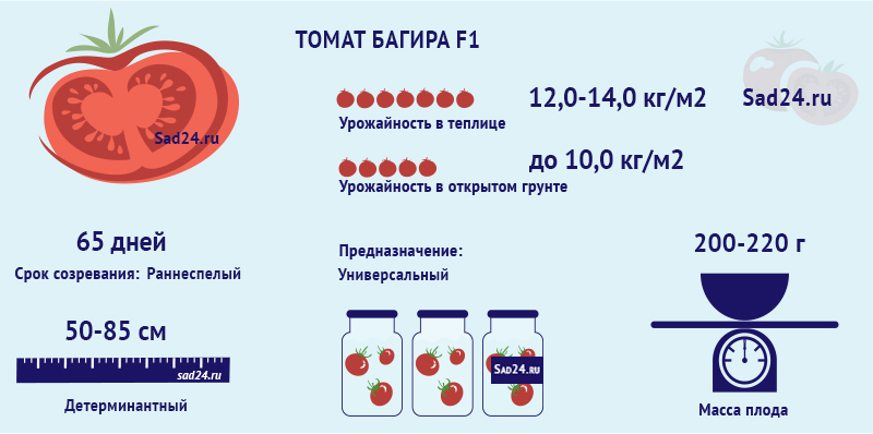 bagira f1: opisanie gibrida, ego agrotekhniki, otzyvy o tomate39 Багіра F1: опис гібрида, його агротехніки, відгуки про томаті