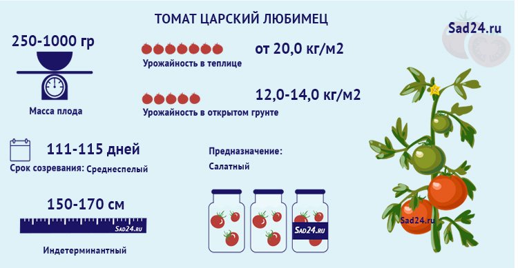 carskijj lyubimec: opisanie sorta, rekomendacii po vyrashhivaniyu, otzyvy o tomate78 Царський улюбленець: опис сорту, рекомендації по вирощуванню, відгуки про томаті