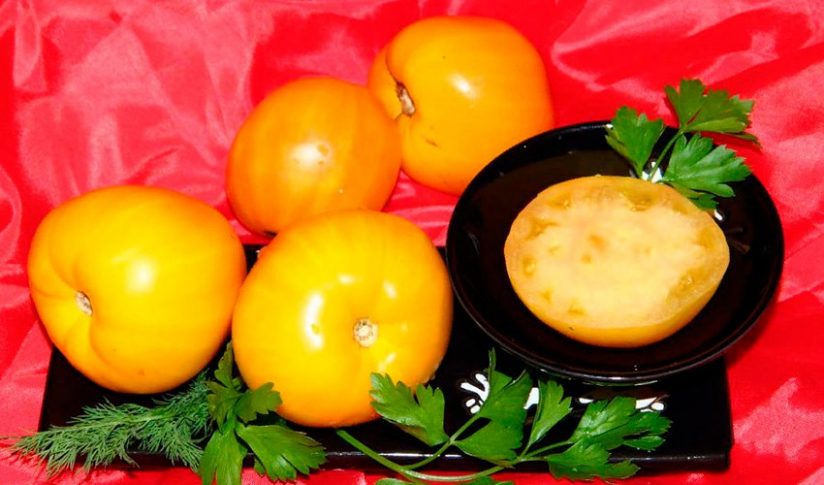 dragocennyjj tomat: podrobnoe opisanie sorta zolotye kupola2 Дорогоцінний томат: докладний опис сорту Золоті куполи