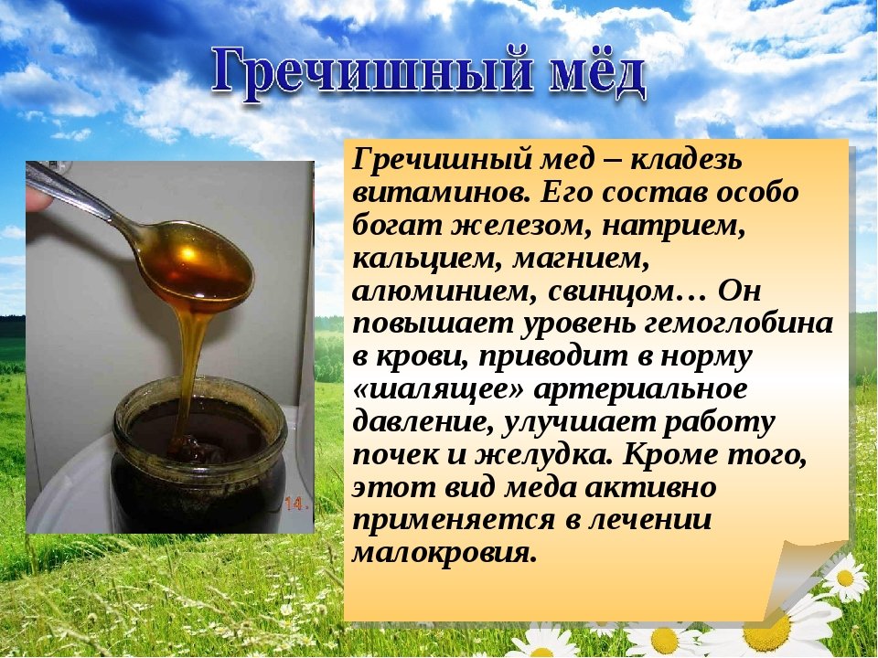e8ec0658691791df1807a29969a30ed9 Гречаний мед — один з найпоширеніших сортів меду