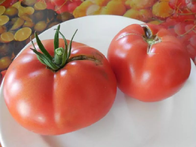 f8077bb7999ee13953179e4473ecff86 Які помідори (томати) найурожайніші для відкритого грунту?