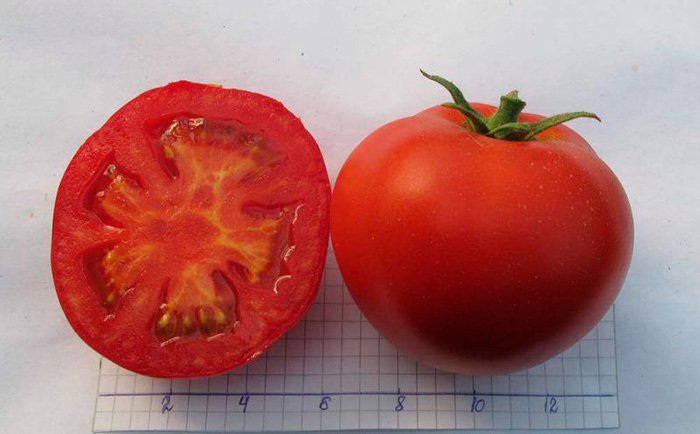 gibrid zhongler f1: detalnoe opisanie tomata, dostoinstva, otzyvy sadovodov118 Гібрид Жонглер F1: детальний опис томату, гідності, відгуки садівників