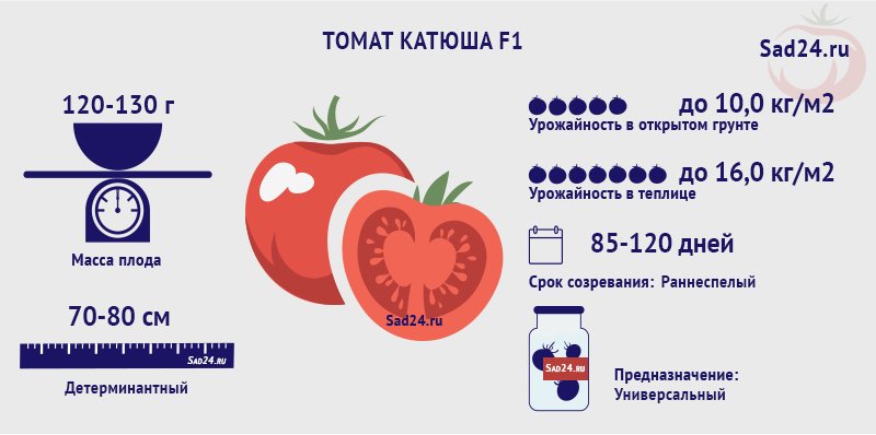 kak vyrastit sredneplodnyjj tomat  polnoe opisanie osobennostejj kultivacii gibrida katyusha37 Як виростити среднеплодный томат. Повний опис особливостей культивації гібрида Катюша