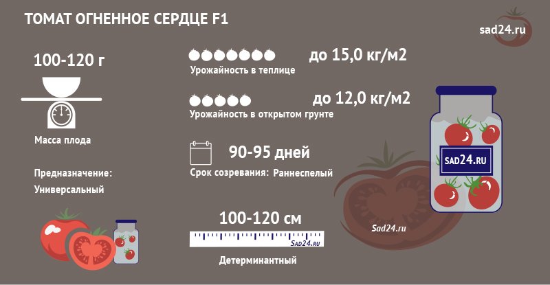 kholodostojjkijj tomat s imenem ognennoe serdce f1: obshhee opisanie, agrotekhnika, otzyvy43 Холодостійкий томат з імям Вогняне серце F1: загальний опис, агротехніка, відгуки