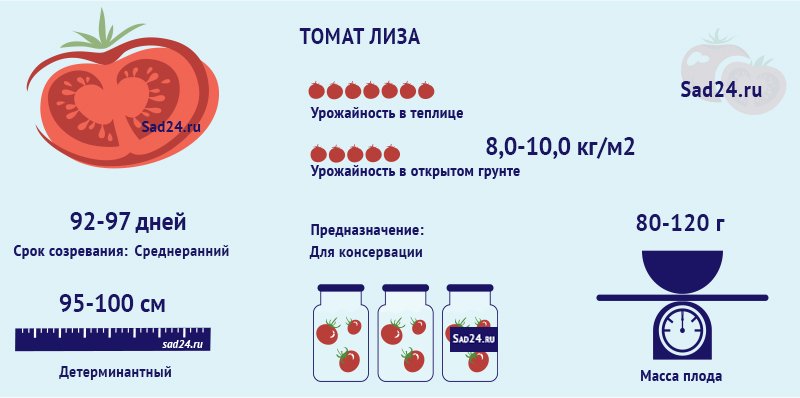 liza – srednerannijj sort tomatov  rekomendacii, opisanie, sekrety bogatogo urozhaya51 Ліза – середньоранній сорт томатів. Рекомендації, опис, секрети багатого врожаю