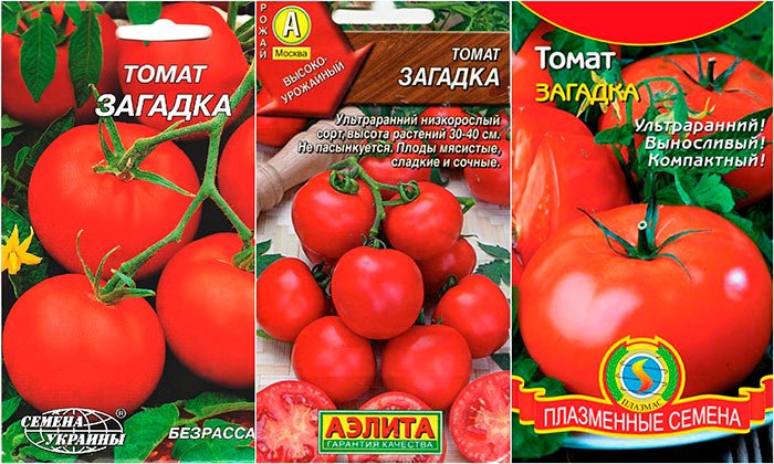 malenkijj tomat s bolshim urozhaem: opisanie sorta zagadka, agrotekhnika, otzyvy20 Маленький томат з великим урожаєм: опис сорту Загадка, агротехніка, відгуки