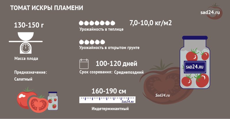 ognennyjj tomat dlya teplic – iskry plameni  podrobnosti agrotekhniki i opisanie sorta67 Вогненний томат для теплиць – Іскри полумя. Подробиці агротехніки та опис сорту
