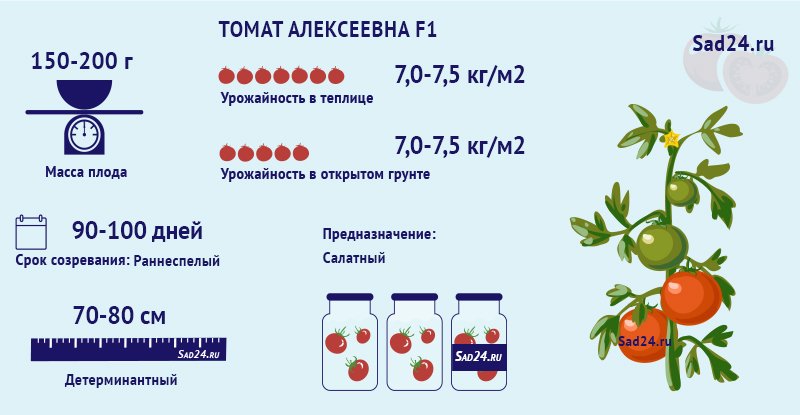 opisanie gibridnogo tomata alekseevna f1: obshhie kharakteristiki, plyusy i minusy45 Опис гібридного томату Олексіївна F1: загальні характеристики, плюси і мінуси