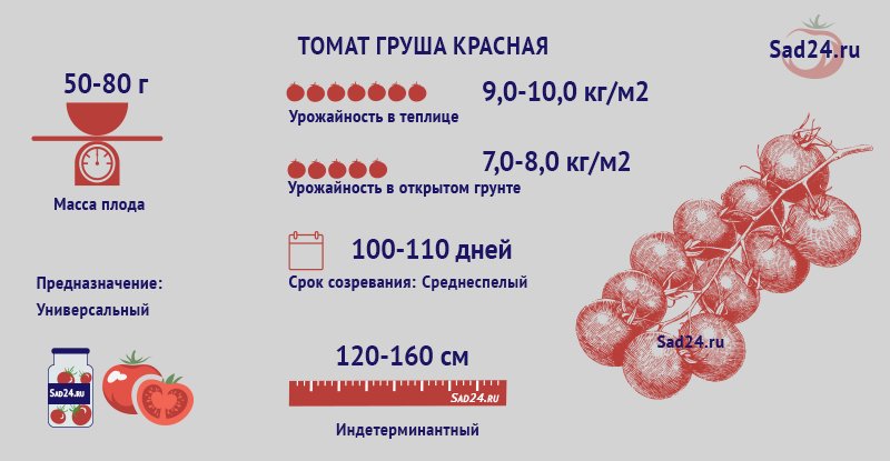 opisanie i kharakteristiki tomata sorta grusha krasnaya87 Опис і характеристики томата сорту червона Груша
