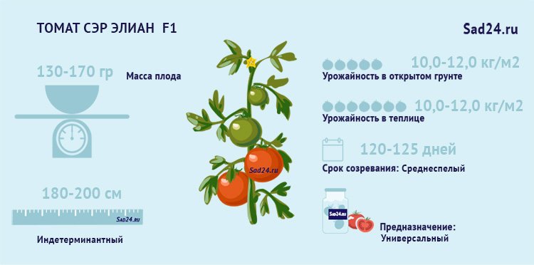 opisanie i nyuansy vyrashhivaniya tomata sehr ehlian f148 Опис і нюанси вирощування томата Сер Еліан F1