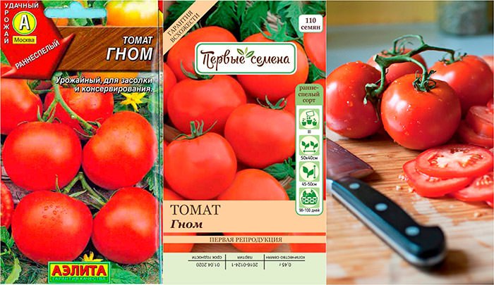 opisanie tomata sorta gnom i ego kharakteristiki11 Опис томата сорту Гном і його характеристики