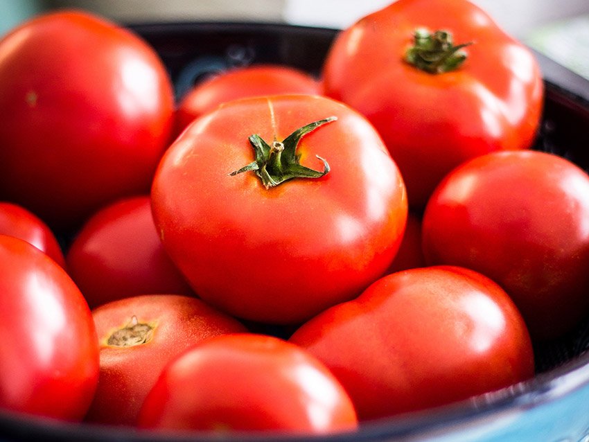opisanie vysokourozhajjnogo tomata sorta biznes ledi85 Опис високоврожайного томата сорту Бізнес Леді