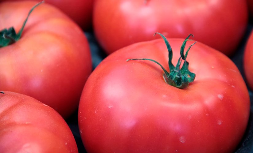 rannespelyjj tomat mazhor f1: detalnoe opisanie raznovidnosti, agrotekhnika, otzyvy56 Ранньостиглий томат Мажор F1: детальний опис різновиди, агротехніка, відгуки