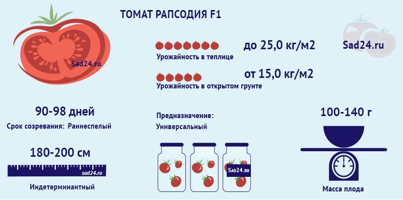 rapsodiya: podrobnoe opisanie i rekomendacii po ukhodu za tomatom17 Рапсодія: докладний опис і рекомендації по догляду за томатом