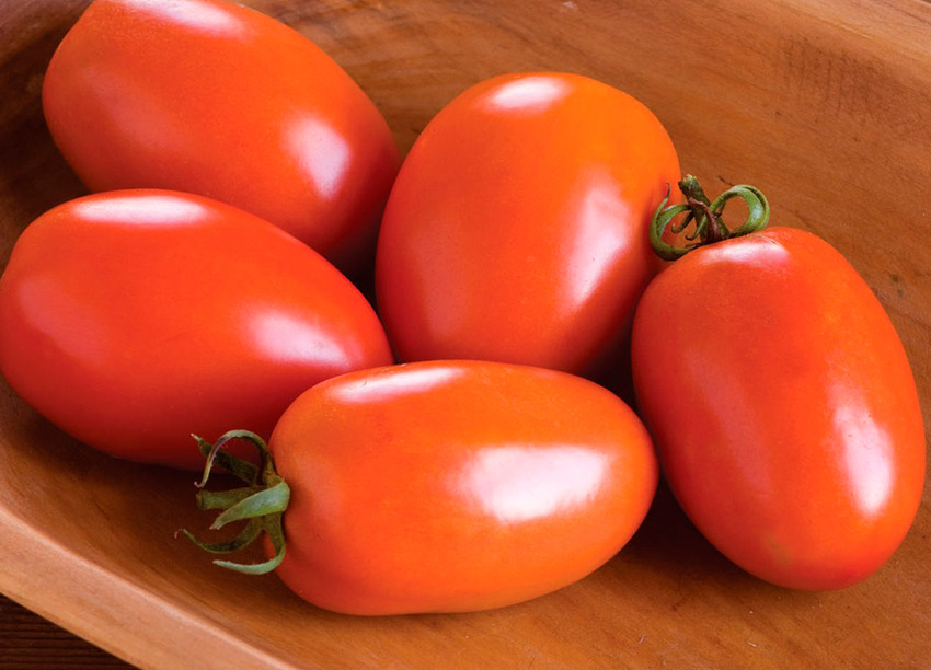 rio sprint f1: vysokourozhajjnyjj tomat s khoroshim vkusom  opisanie i sovety po ukhodu67 Ріо спринт F1: високоврожайний томат з гарним смаком. Опис та поради по догляду