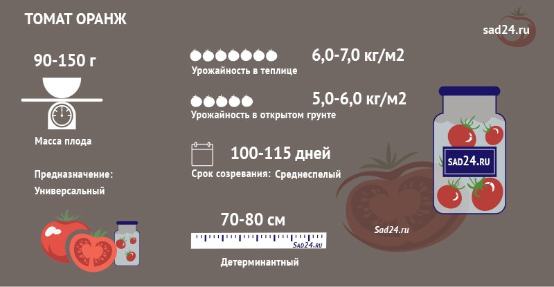 sort oranzh – vkusnyjj tomat s yarkimi plodami  opisanie, kharakteristiki, otzyvy39 Сорт Оранж – смачний томат з яскравими плодами. Опис, характеристики, відгуки