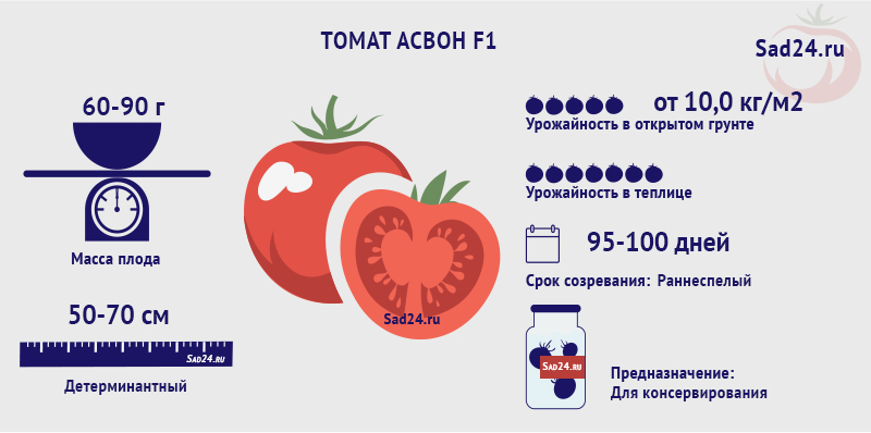 super urozhajjnyjj tomat asvon f1: podrobnoe opisanie, agrotekhnika, otzyvy85 Супер урожайний томат Асвон F1: докладний опис, агротехніка, відгуки