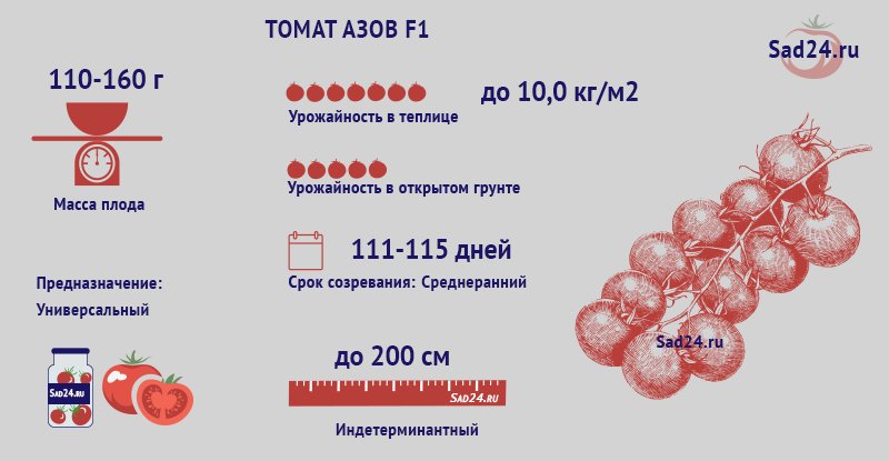 tomat azov f1: podrobnoe opisanie neprikhotlivogo gibrida, agrotekhnika, otzyvy73 Томат Азов F1: докладний опис невибагливого гібрида, агротехніка, відгуки