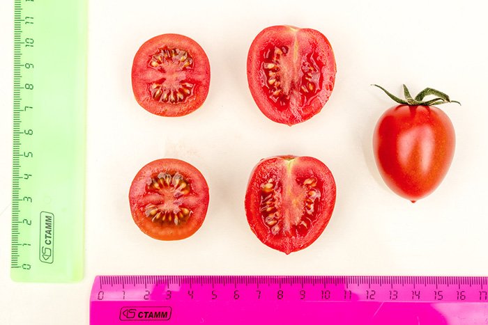 tomat cherri vera f1: podrobnoe opisanie, dostoinstva, osobennosti kultivacii55 Помідор Черрі Віра F1: докладний опис, гідності, особливості культивації