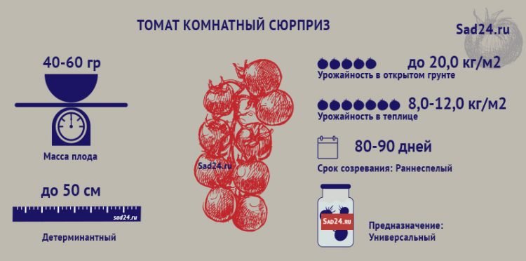 tomat dlya doma i sada   opisanie i kharakteristika sorta komnatnyjj syurpriz50 Томат для дому і саду — опис та характеристика сорту Кімнатний сюрприз