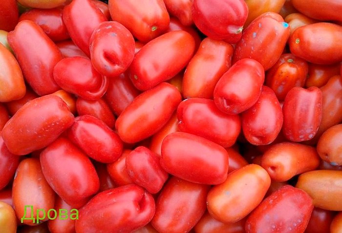 tomat drova: agrotekhnika, opisanie sorta, otzyvy109 Томат Дрова: агротехніка, опис сорту, відгуки
