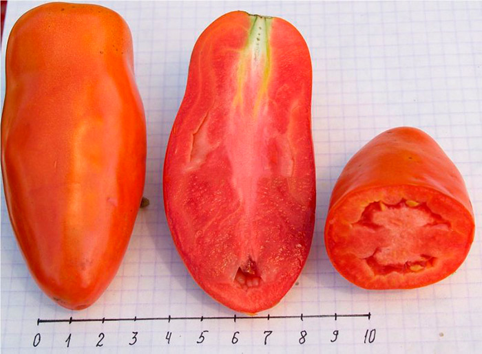 tomat gulliver – osobennosti i opisanie rannespelogo sorta95 Томат Гулівер – особливості і опис раннеспелого сорту