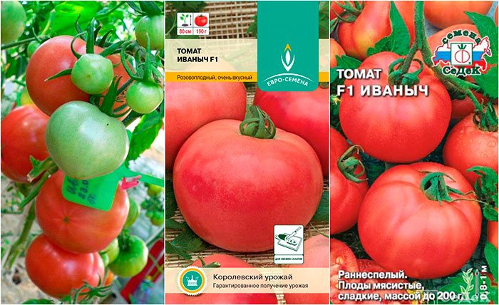 tomat ivanych f1: preimushhestva, opisanie, agrotekhnika4 Томат Іванич F1: переваги, опис, агротехніка