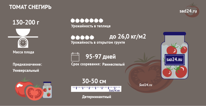 tomat kholodostojjkijj snegir: kharakteristiki, opisanie agrotekhniki, otzyvy29 Томат холодостійкий Снігур: характеристики, опис агротехніки, відгуки