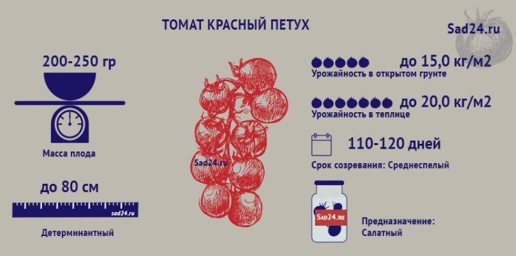 tomat krasnyjj petukh: agrotekhnika, opisanie, otzyvy52 Томат Червоний півень: агротехніка, опис, відгуки