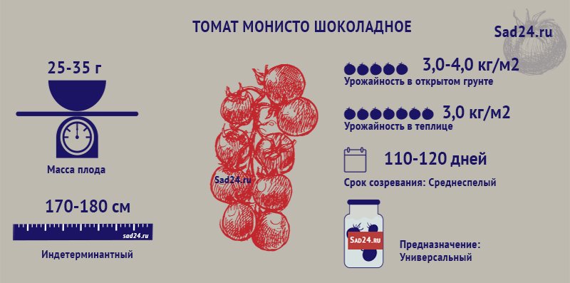 tomat monisto shokoladnoe – vkusovye kachestva, podrobnoe opisanie ehffektnogo sorta45 Томат Намисто шоколадне – смакові якості, докладний опис ефектного сорту