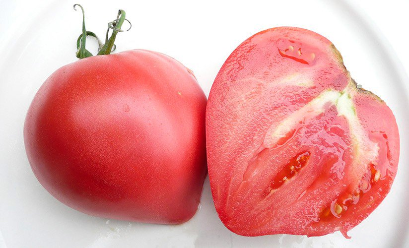 tomat rozovye kupola f1: detalnoe opisanie, metodika vyrashhivaniya, otzyvy50 Томат Рожеві купола F1: детальний опис, методика вирощування, відгуки